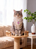 Cat Pearl Necklace  Paw Print Pendant Design Fashion Pet Jewelry