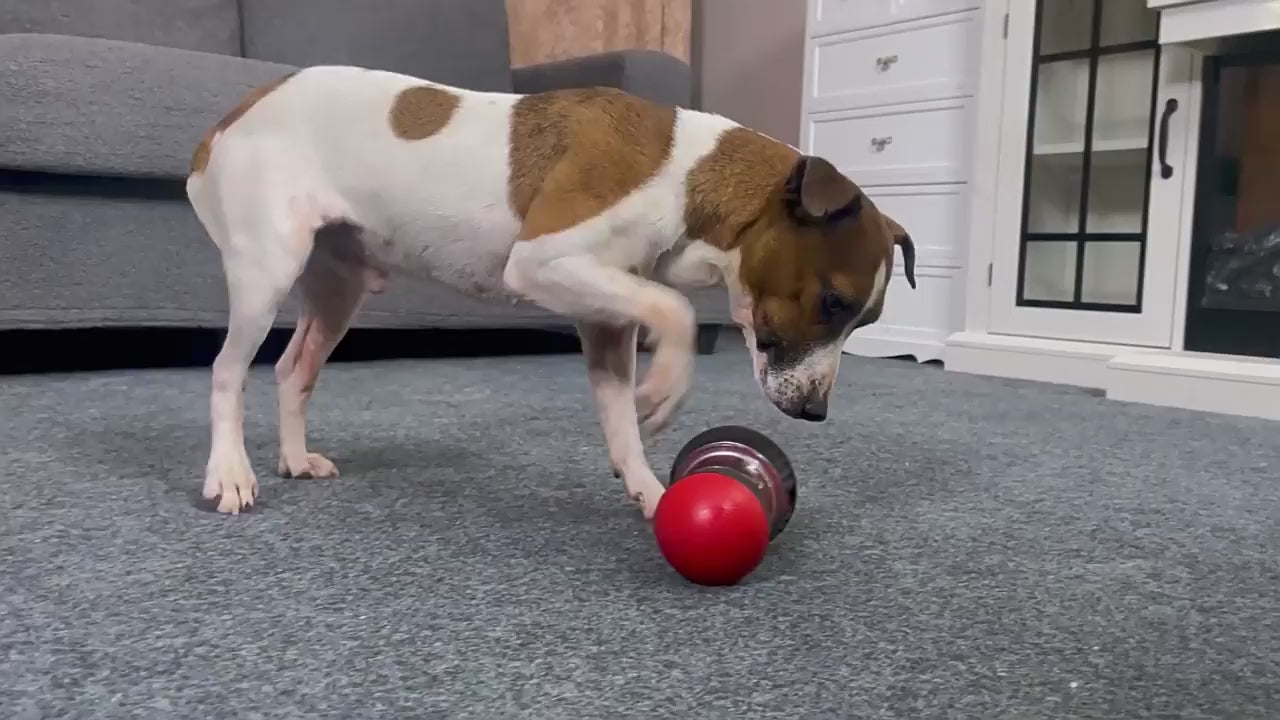 Dog Puzzle Snack Ball  Slow Food Training Toy For All Dog Breeds